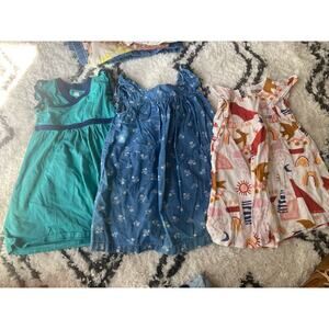 Girls Clothing Lot Trio of Print & Embroidered Sundresses ~ Sz 3 ~ Tea & OshKosh